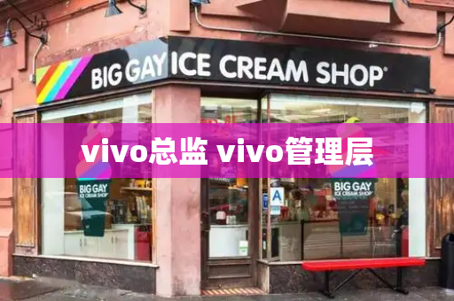 vivo总监 vivo管理层