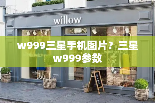 w999三星手机图片？三星w999参数