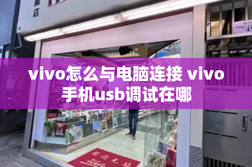 vivo怎么与电脑连接 vivo手机usb调试在哪-第1张图片-星选测评