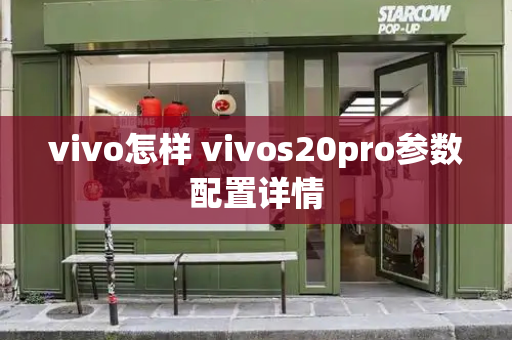 vivo怎样 vivos20pro参数配置详情