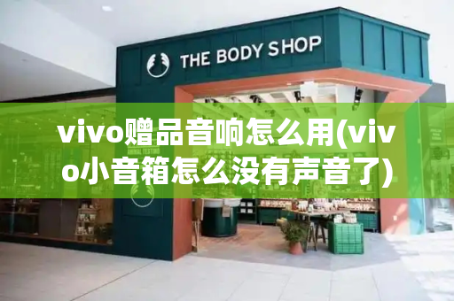 vivo赠品音响怎么用(vivo小音箱怎么没有声音了)-第1张图片-星选测评