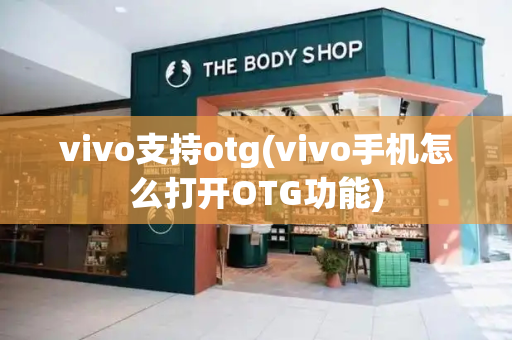 vivo支持otg(vivo手机怎么打开OTG功能)