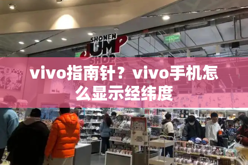 vivo指南针？vivo手机怎么显示经纬度-第1张图片-星选测评