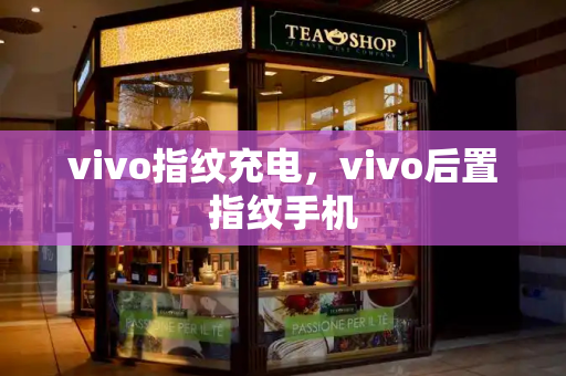 vivo指纹充电，vivo后置指纹手机-第1张图片-星选测评