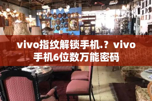 vivo指纹解锁手机.？vivo手机6位数万能密码-第1张图片-星选测评