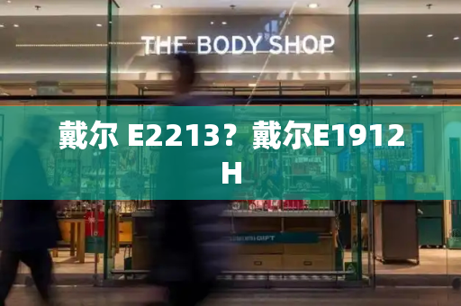 戴尔 E2213？戴尔E1912H