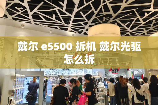 戴尔 e5500 拆机 戴尔光驱怎么拆-第1张图片-星选值得买