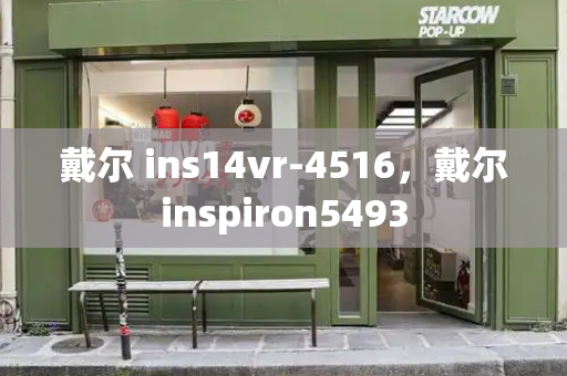 戴尔 ins14vr-4516，戴尔inspiron5493