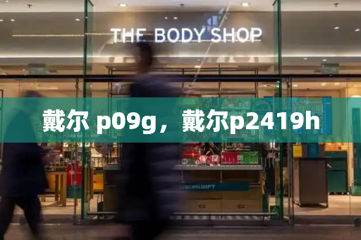 戴尔 p09g，戴尔p2419h