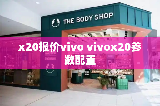 x20报价vivo vivox20参数配置-第1张图片-星选测评