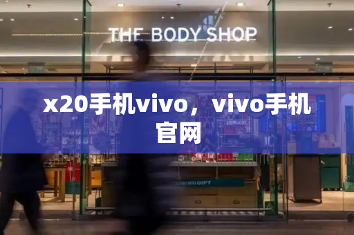 x20手机vivo，vivo手机官网-第1张图片-星选测评