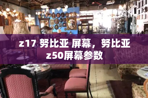 z17 努比亚 屏幕，努比亚z50屏幕参数