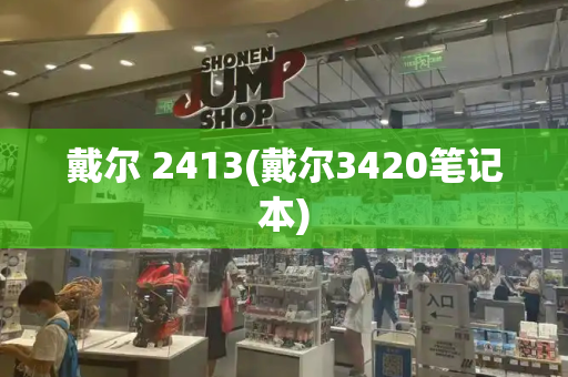 戴尔 2413(戴尔3420笔记本)