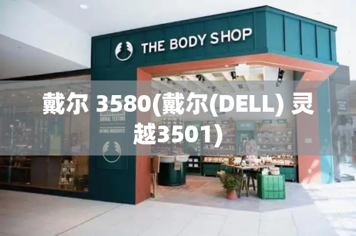 戴尔 3580(戴尔(DELL) 灵越3501)