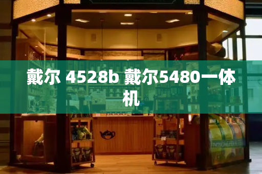 戴尔 4528b 戴尔5480一体机