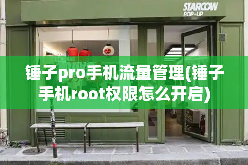 锤子pro手机流量管理(锤子手机root权限怎么开启)