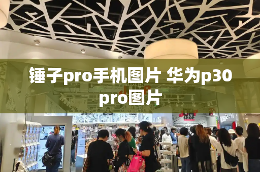 锤子pro手机图片 华为p30pro图片-第1张图片-星选测评