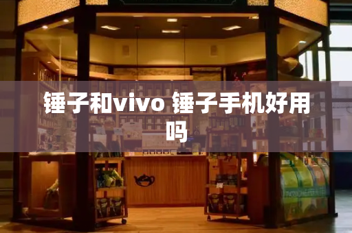 锤子和vivo 锤子手机好用吗-第1张图片-星选测评