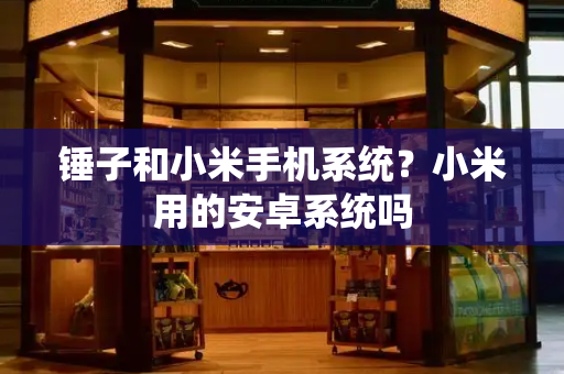 锤子和小米手机系统？小米用的安卓系统吗