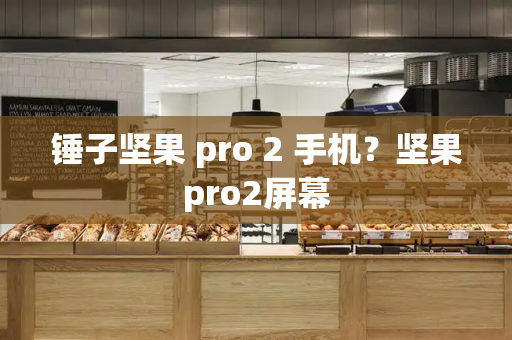 锤子坚果 pro 2 手机？坚果pro2屏幕-第1张图片-星选测评