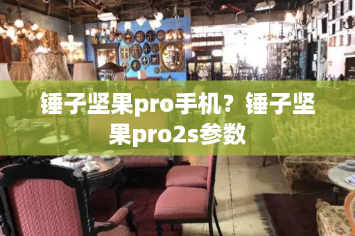 锤子坚果pro手机？锤子坚果pro2s参数-第1张图片-星选测评