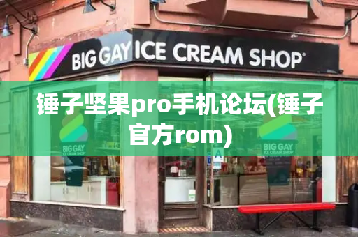 锤子坚果pro手机论坛(锤子官方rom)