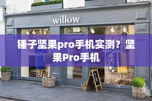 锤子坚果pro手机实测？坚果Pro手机-第1张图片-星选测评