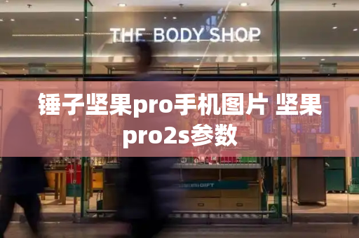 锤子坚果pro手机图片 坚果pro2s参数