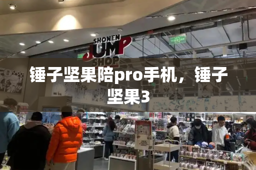 锤子坚果陪pro手机，锤子坚果3