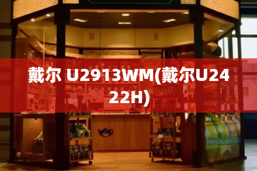 戴尔 U2913WM(戴尔U2422H)