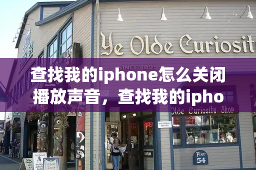 查找我的iphone怎么关闭播放声音，查找我的iphone播放声音是什么意思-第1张图片-星选测评