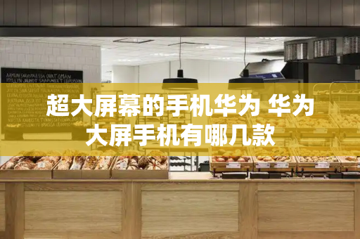 超大屏幕的手机华为 华为大屏手机有哪几款-第1张图片-星选测评