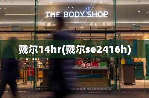 戴尔14hr(戴尔se2416h)