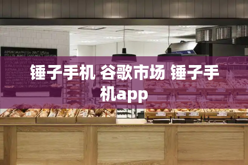 锤子手机 谷歌市场 锤子手机app-第1张图片-星选测评