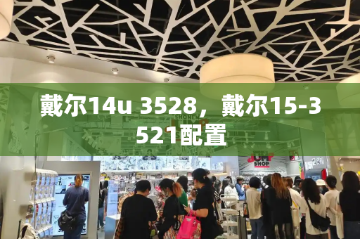 戴尔14u 3528，戴尔15-3521配置