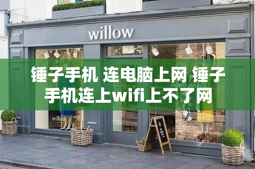 锤子手机 连电脑上网 锤子手机连上wifi上不了网