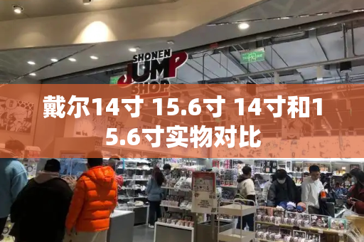 戴尔14寸 15.6寸 14寸和15.6寸实物对比-第1张图片-星选值得买