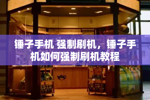 锤子手机 强制刷机，锤子手机如何强制刷机教程