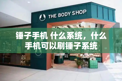 锤子手机 什么系统，什么手机可以刷锤子系统-第1张图片-星选测评