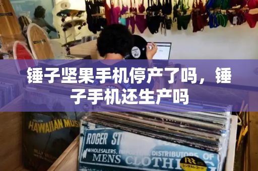 锤子坚果手机停产了吗，锤子手机还生产吗-第1张图片-星选测评