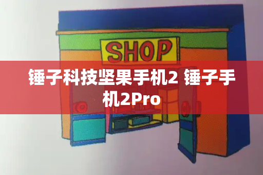 锤子科技坚果手机2 锤子手机2Pro