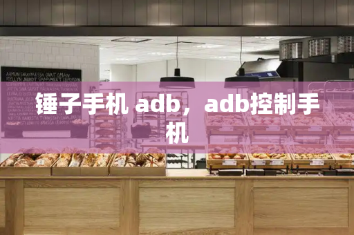 锤子手机 adb，adb控制手机