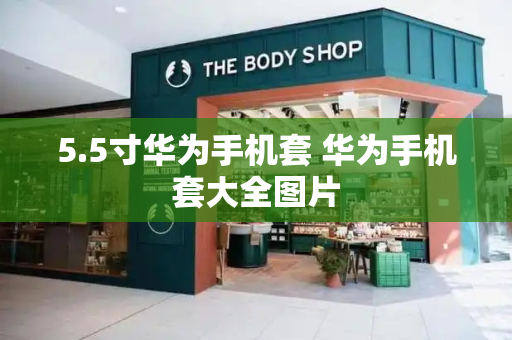 5.5寸华为手机套 华为手机套大全图片