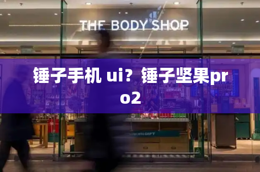 锤子手机 ui？锤子坚果pro2