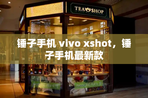 锤子手机 vivo xshot，锤子手机最新款-第1张图片-星选测评