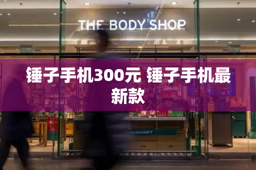 锤子手机300元 锤子手机最新款