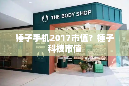 锤子手机2017市值？锤子科技市值