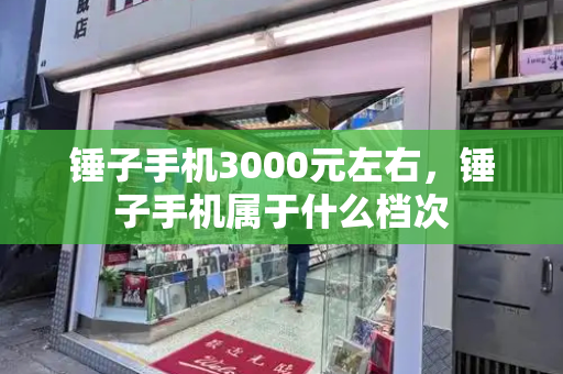 锤子手机3000元左右，锤子手机属于什么档次-第1张图片-星选测评