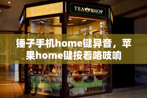 锤子手机home键异音，苹果home键按着咯吱响-第1张图片-星选测评