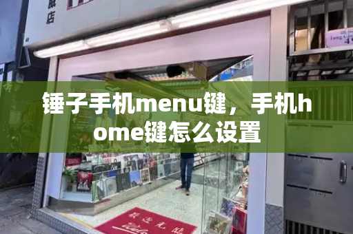 锤子手机menu键，手机home键怎么设置-第1张图片-星选测评